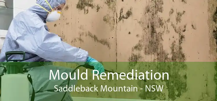 Mould Remediation Saddleback Mountain - NSW