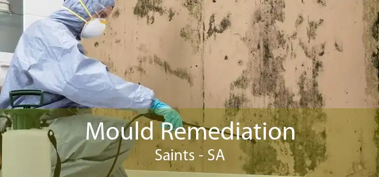 Mould Remediation Saints - SA