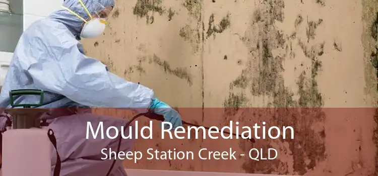 Mould Remediation Sheep Station Creek - QLD
