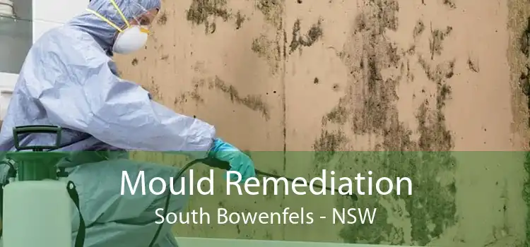 Mould Remediation South Bowenfels - NSW
