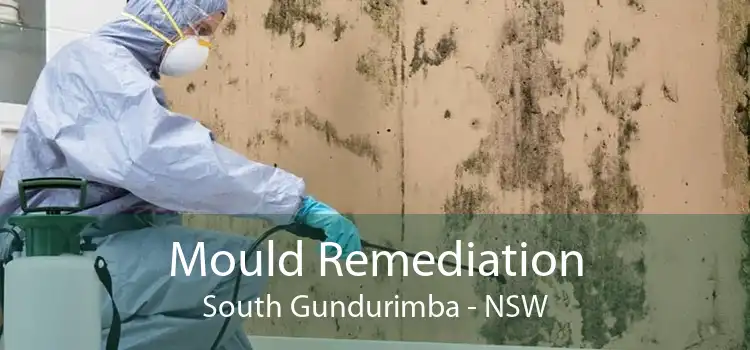 Mould Remediation South Gundurimba - NSW