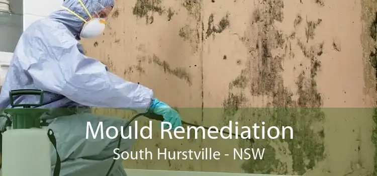 Mould Remediation South Hurstville - NSW