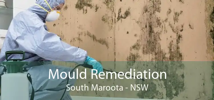Mould Remediation South Maroota - NSW