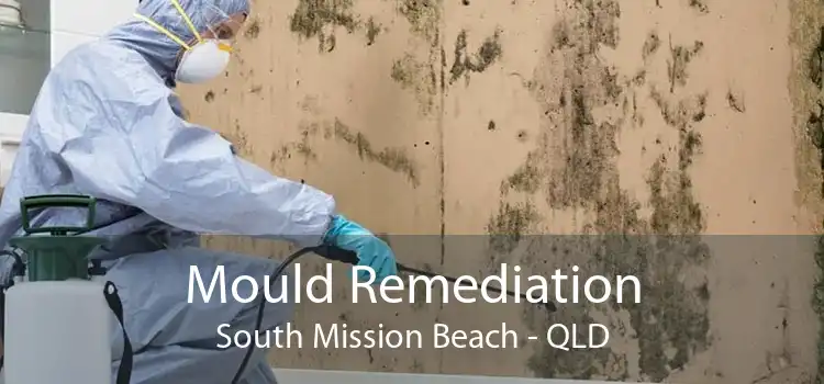 Mould Remediation South Mission Beach - QLD