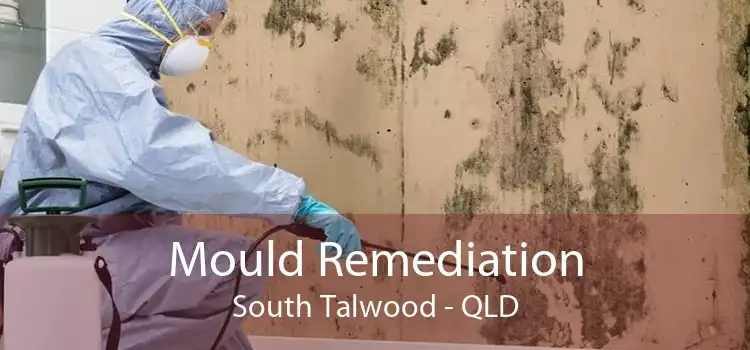 Mould Remediation South Talwood - QLD