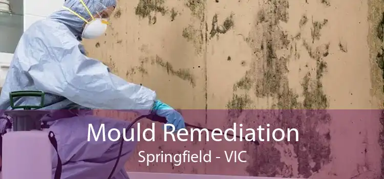 Mould Remediation Springfield - VIC