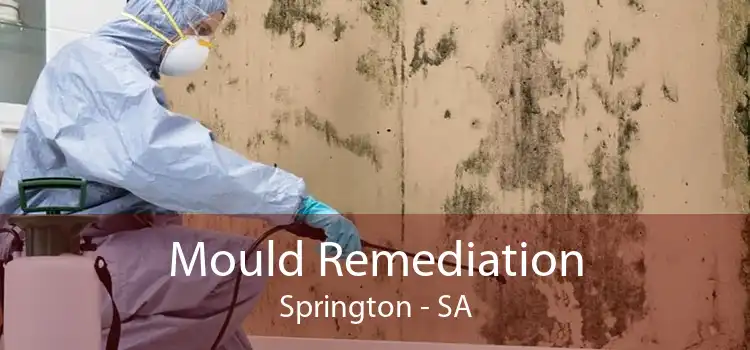 Mould Remediation Springton - SA