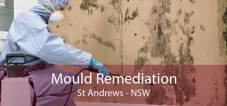 Mould Remediation St Andrews - NSW