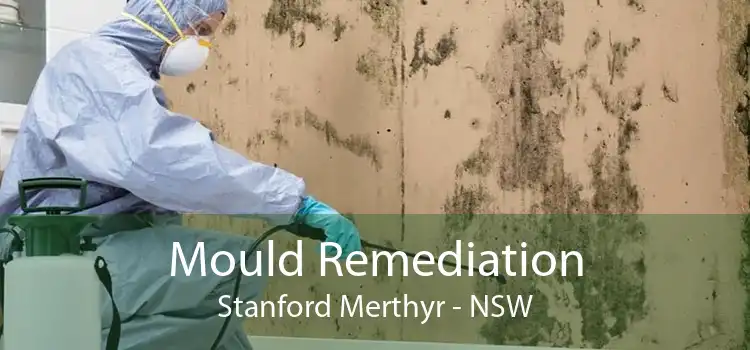 Mould Remediation Stanford Merthyr - NSW