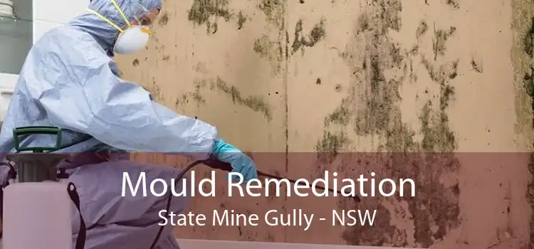 Mould Remediation State Mine Gully - NSW