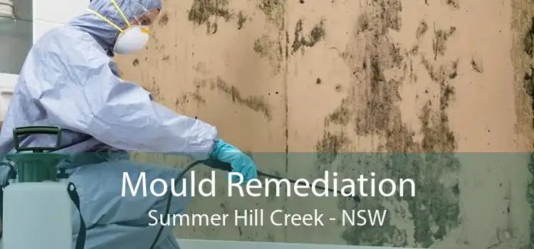 Mould Remediation Summer Hill Creek - NSW