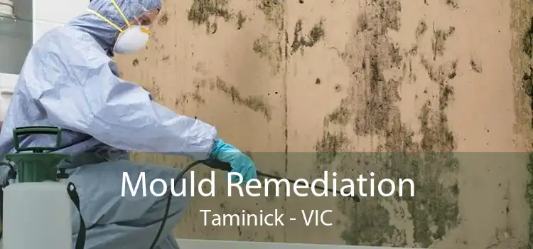 Mould Remediation Taminick - VIC
