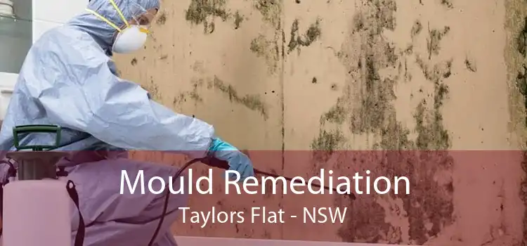 Mould Remediation Taylors Flat - NSW