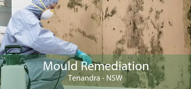 Mould Remediation Tenandra - NSW