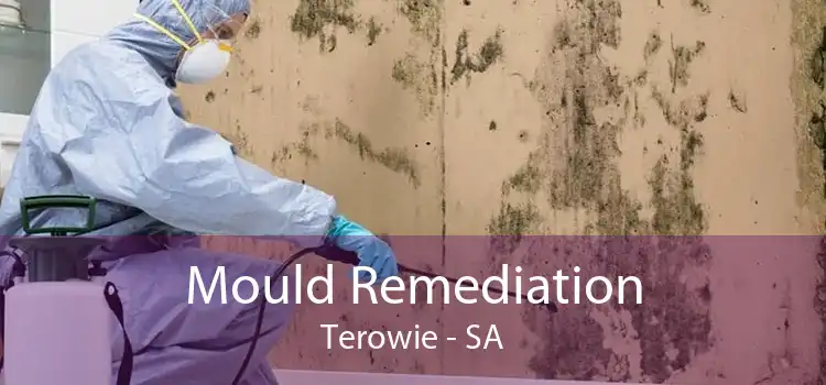 Mould Remediation Terowie - SA