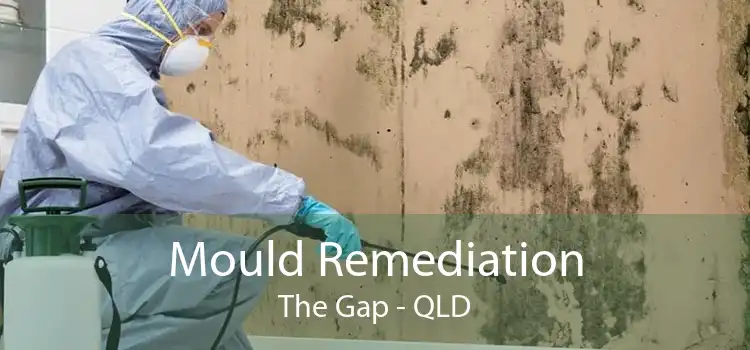 Mould Remediation The Gap - QLD