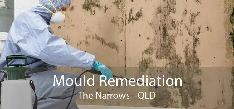 Mould Remediation The Narrows - QLD