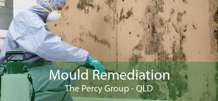 Mould Remediation The Percy Group - QLD