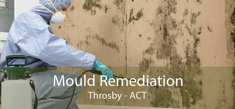 Mould Remediation Throsby - ACT