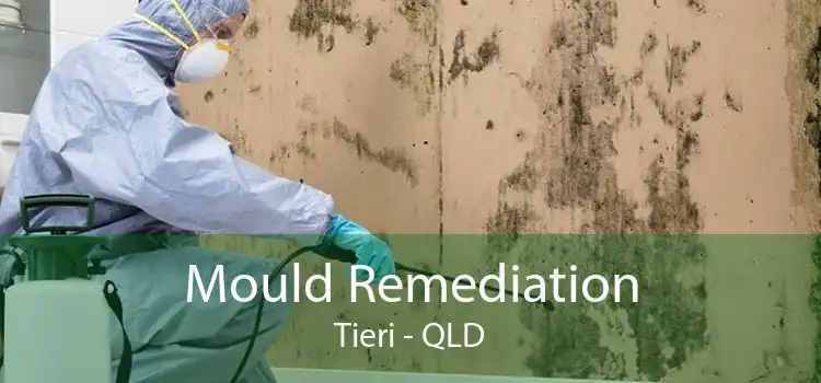Mould Remediation Tieri - QLD