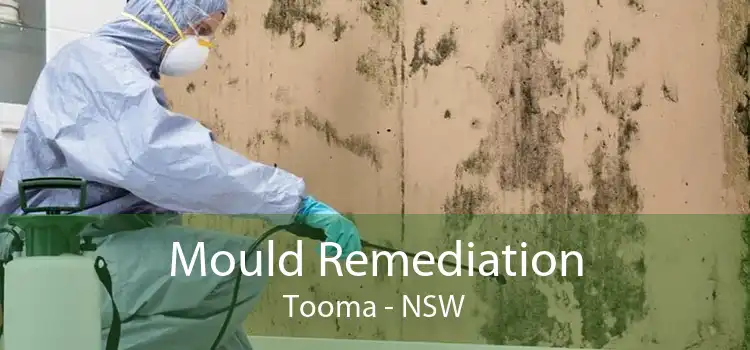 Mould Remediation Tooma - NSW