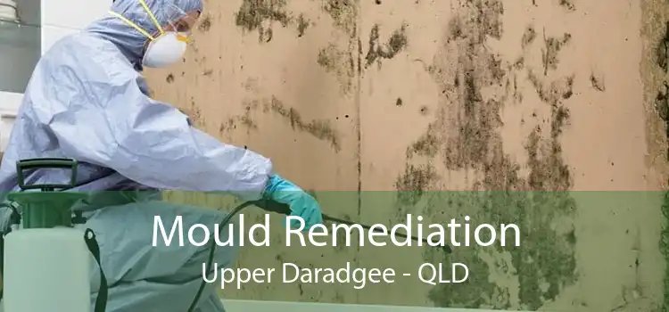 Mould Remediation Upper Daradgee - QLD
