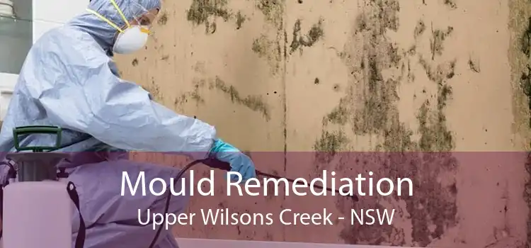 Mould Remediation Upper Wilsons Creek - NSW