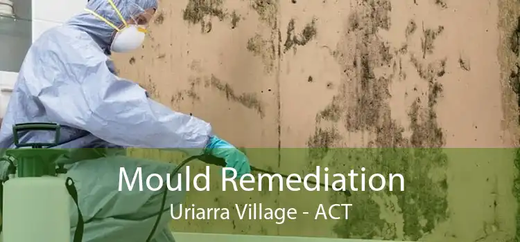 Mould Remediation Uriarra Village - ACT