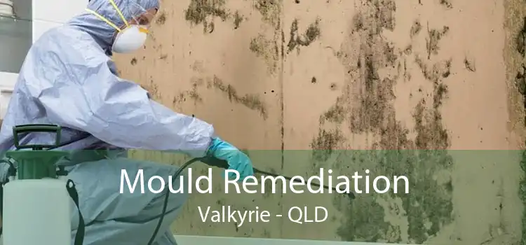Mould Remediation Valkyrie - QLD