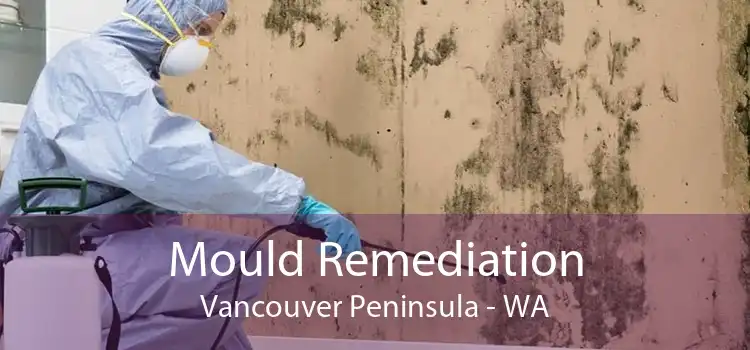 Mould Remediation Vancouver Peninsula - WA