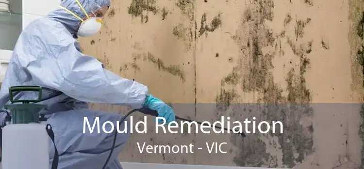 Mould Remediation Vermont - VIC