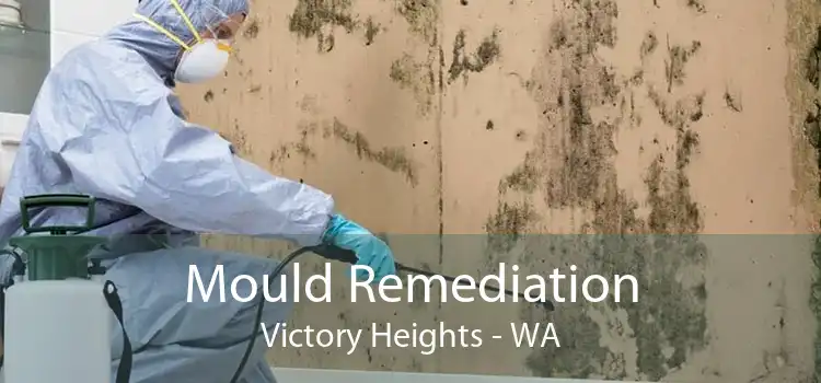 Mould Remediation Victory Heights - WA