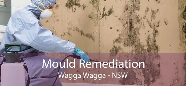 Mould Remediation Wagga Wagga - NSW