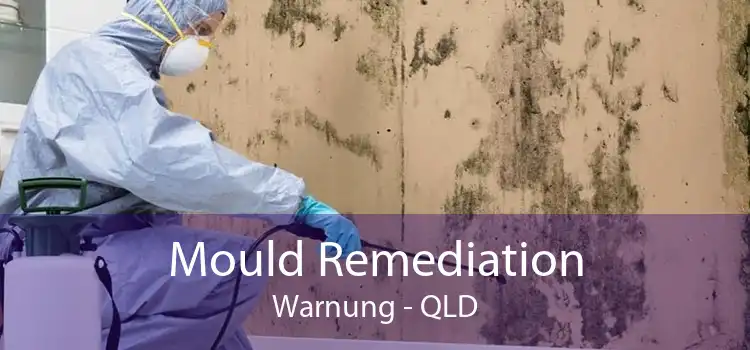 Mould Remediation Warnung - QLD