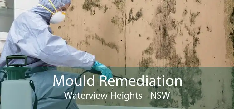 Mould Remediation Waterview Heights - NSW