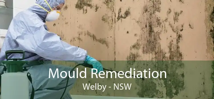 Mould Remediation Welby - NSW