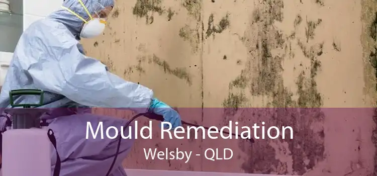Mould Remediation Welsby - QLD