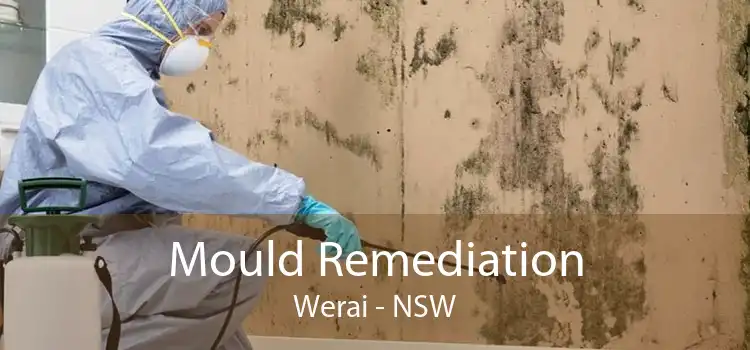 Mould Remediation Werai - NSW