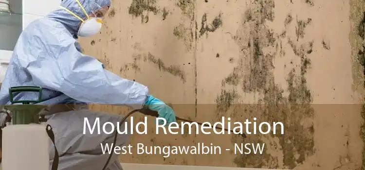 Mould Remediation West Bungawalbin - NSW