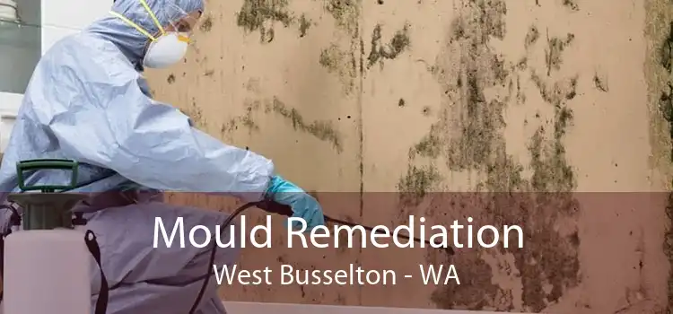 Mould Remediation West Busselton - WA