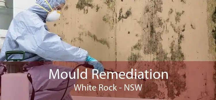 Mould Remediation White Rock - NSW