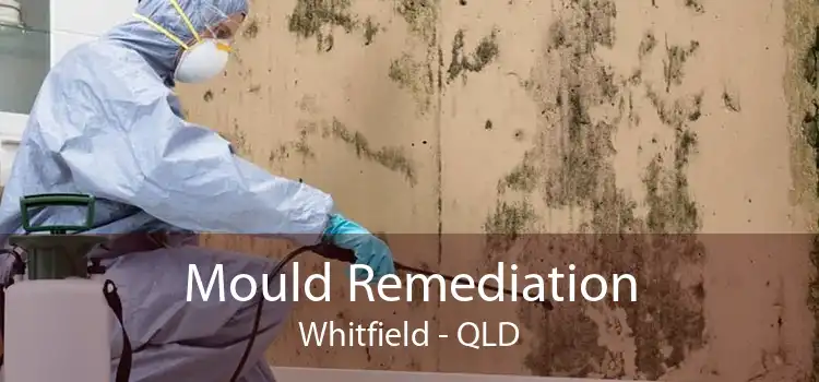 Mould Remediation Whitfield - QLD