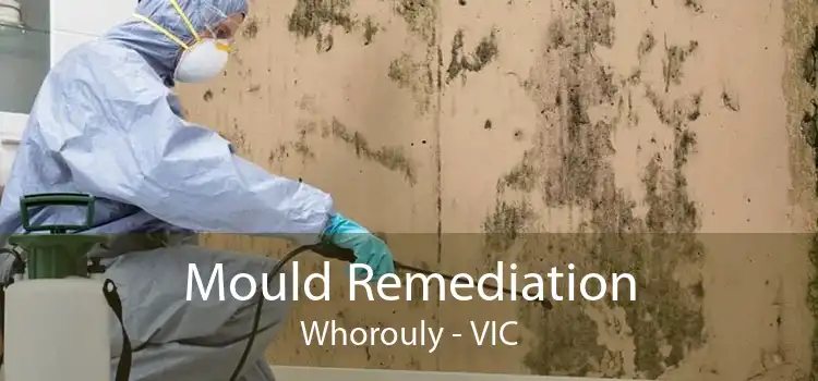 Mould Remediation Whorouly - VIC