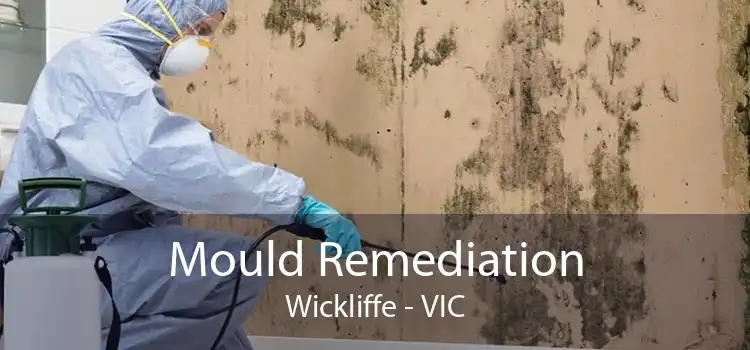 Mould Remediation Wickliffe - VIC