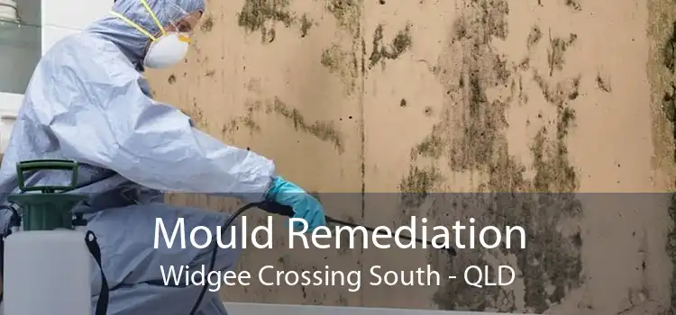 Mould Remediation Widgee Crossing South - QLD