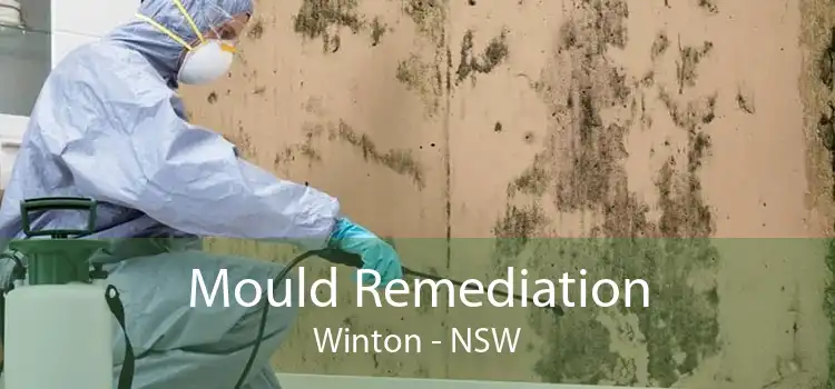 Mould Remediation Winton - NSW