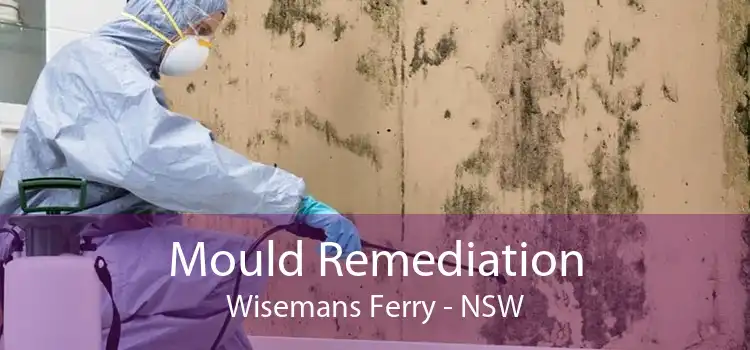 Mould Remediation Wisemans Ferry - NSW