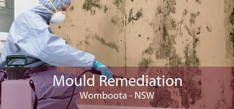 Mould Remediation Womboota - NSW