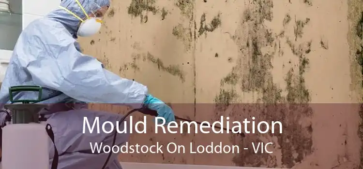 Mould Remediation Woodstock On Loddon - VIC