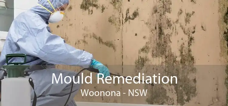 Mould Remediation Woonona - NSW